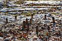2008_12_25_noel__0464