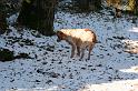 2008_12_25_noel__0470