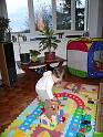 2009_01_01_rando__0719