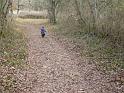 2009_01_01_rando__0725