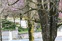 2009_04_8_divers_gramat__0085
