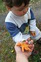 2009_04_8_divers_gramat__0113