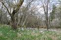 2009_04_8_divers_gramat__0147
