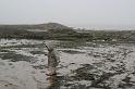 2009_05_03_No___0429