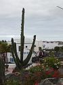 2010_01_24_31_LANZAROTE_noces__0056