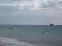 2010_01_24_31_LANZAROTE_noces__0104