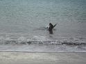 2010_01_24_31_LANZAROTE_noces__0109