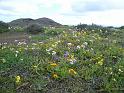 2010_01_24_31_LANZAROTE_noces__0311
