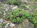 2010_01_24_31_LANZAROTE_noces__0315