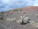 2010_01_24_31_LANZAROTE_noces__0321