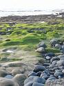 2010_01_24_31_LANZAROTE_noces__0362