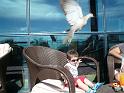 2010_01_24_31_LANZAROTE_noces__0394