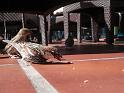 2010_01_24_31_LANZAROTE_noces__0407