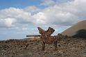 2010_01_24_31_LANZAROTE_noces__1278
