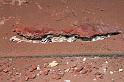 2010_01_24_31_LANZAROTE_noces__1352