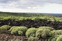 2010_01_24_31_LANZAROTE_noces__1873