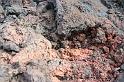 2010_01_24_31_LANZAROTE_noces__1883