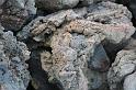 2010_01_24_31_LANZAROTE_noces__1898