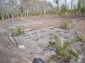 2010_04_18_divers__0019