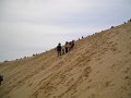 dune14