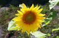 2010_07_08_maison_0089