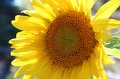 2010_07_08_maison_0091