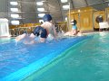 2010_11_13_piscine_maison_0089