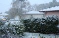 IMG_5435