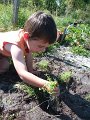 2011_06_06_CONSTRUCTION_0309