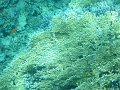 P1040218