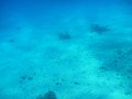 P1040229