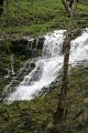 IMG_5645