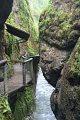 IMG_5753