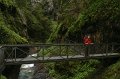 IMG_5818